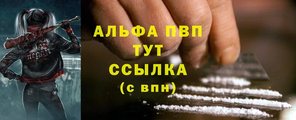 спайс Няндома