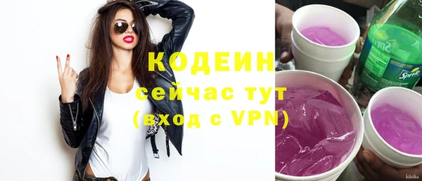 спайс Няндома