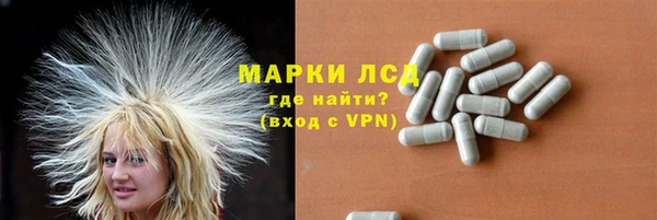 спайс Няндома