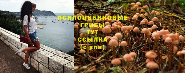 спайс Няндома
