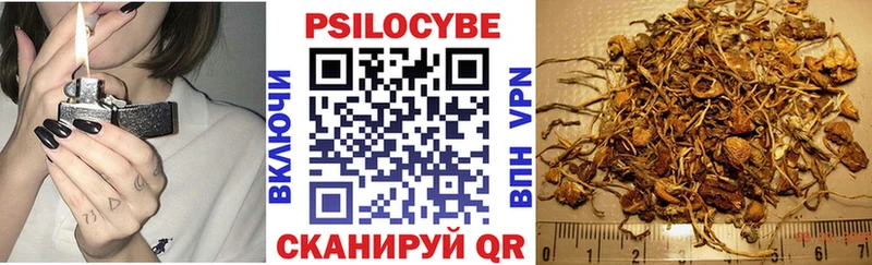 Псилоцибиновые грибы Cubensis  Купить закладки  Киренск 
